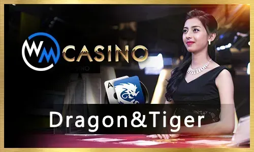 Bingoplus Casino Games